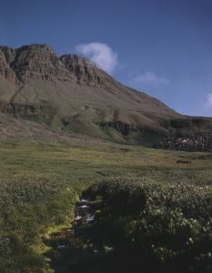Image: Arctic meadow and basalt mountain