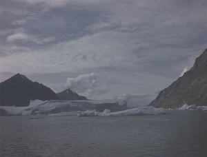 Image: Icebergs