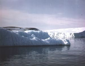 Image of Icebergs calving.