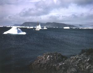Image of Icebergs around The Bowdoin