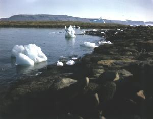Image of Ice along shore.