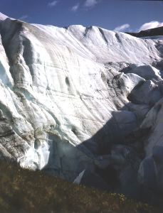 Image of Piedmont glacier and morain