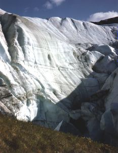 Image: Piedmont glacier and morain