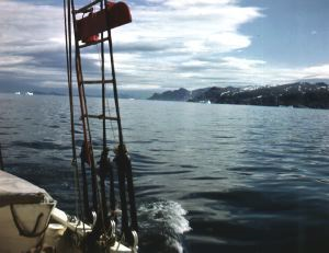 Image: Icebergs in distance, from The Bowdoin.