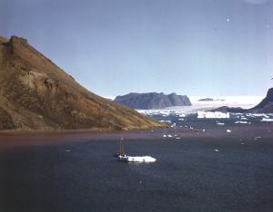 Image of The Bowdoin tied to iceberg in Twin Glacier Harbor.