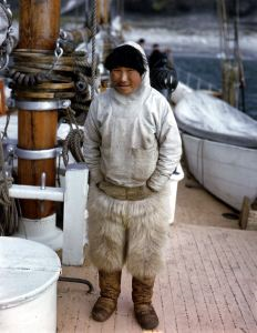 Image: Eskimo [Inuk] man aboard.