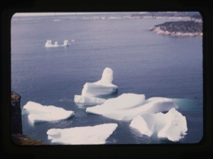 Image: iceberg remains
