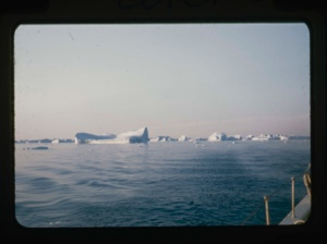 Image: icebergs, mid-summer
