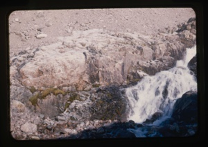 Image: Waterfall and Arctic Plants