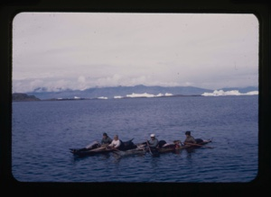 Image of four kayakers