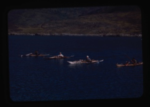 Image of four kayakers racing