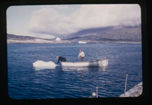 Image of harnessing an ice floe