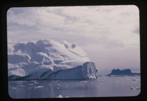 Image: icebergs