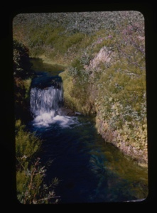 Image of meadow and brook