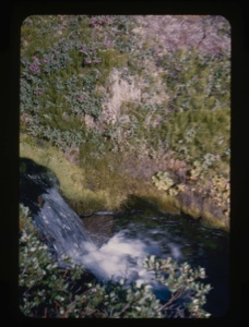 Image of meadow and brook