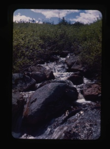 Image of brook, boulders, arctic plants
