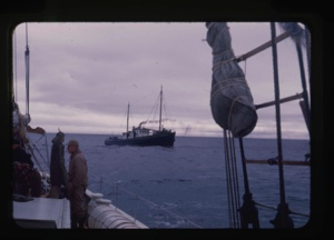 Image: whaling ship, from Bowdoin's deck