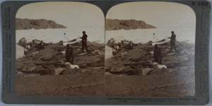 Image: Arctic Explorers preparing for the long winter- historic Cape Sabine...