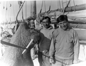 Image of Kala, Sorkak and Walrus