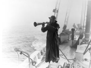 Image of Our fog horn