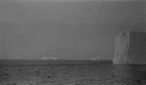 Image of Icebergs