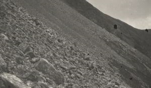 Image of Dovekie cliff