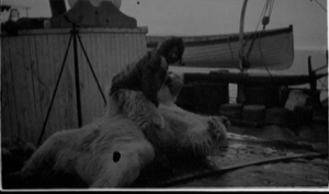 Image of Eskimo [Inuk] with polar bear, on deck