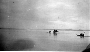 Image of Kayak approaching walrus on floe