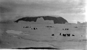 Image of Teams scattered on ice; icebergs beyond
