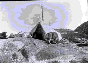 Image of Eskimo [Inuit] settlement