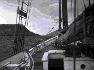 Image of View forward on way to Captain Mac's camp