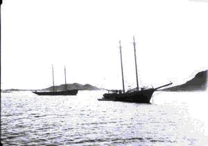 Image: Schooners anchored at Indian Harbor, Labrador