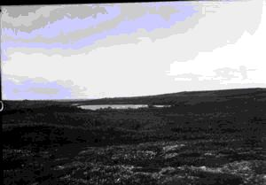 Image of Little pond on Gannett Island, Labrador