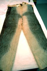 Image of Sealskin Pants