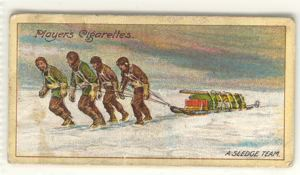 Image of Cigarette card: A Sledge Team on the King Edward VII Plateau