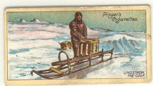 Image of Cigarette card, Norwegian Antarctic Expedition, 1910-12, Lindstrom, the Cook