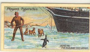 Image of Cigarette card: Demetri, the Russian Dog-driver, Keeping Penguin from the Dogs