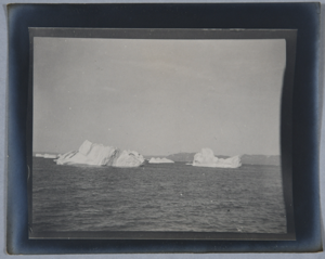 Image of Icebergs