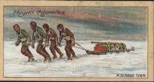 Image: Cigarette Card, A Sledge Team on the King Edward VII. Plateau