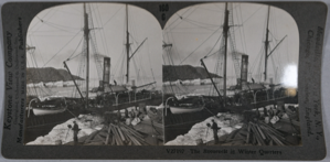 Image: stereo view card: Roosevelt in winter quarters