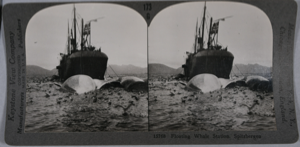 Image of stereo view card: Spitzbergen floating whale station