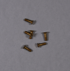 Image of small brass machine screws