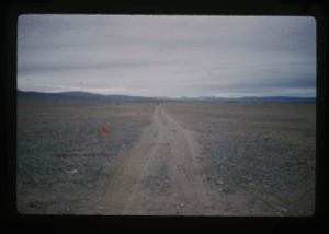 Image of Completed natural runway on Polaris Promontory. Red flags mark path