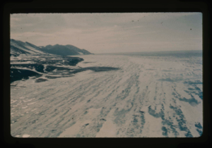 Image: View west of Cape Morris Jesup - Arctic coast - note terrace of the cape