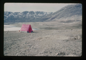 Image of Count Eigil Knuth performing archaeological fieldwork on Eskimo [Inuit] tent rings