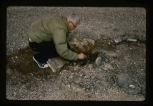 Image: Close up view of Count Knuth investigating Eskimo [Inuit] tent ring at Centrum Lake