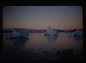 Image: Icebergs floating in Polaris Bay.