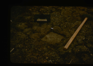 Image of Soil compaction by tamping of surface by sledge hammer at Polaris Promontory.