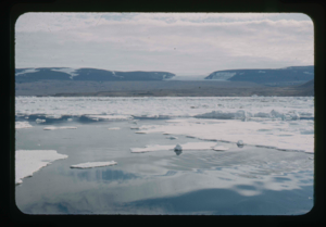 Image: View of Polaris Bay from the landing barge of the USS Atka. Note ice field