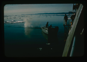 Image: Landing craft returns to USS Atka in Polaris Bay